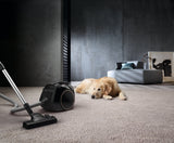 Miele ~ Boost CX1 Cat & Dog